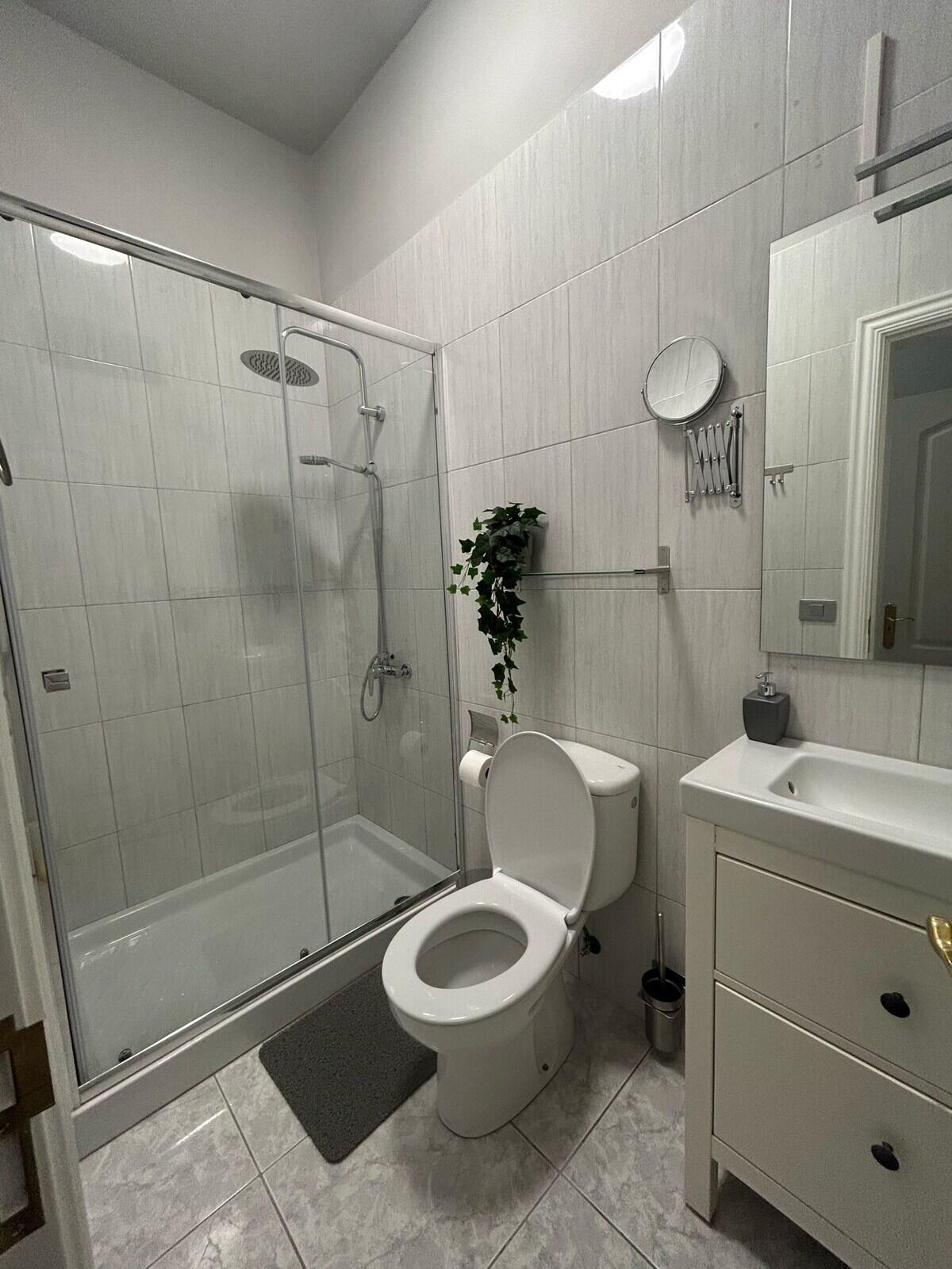 Studio apartment bathroom with rainfall shower